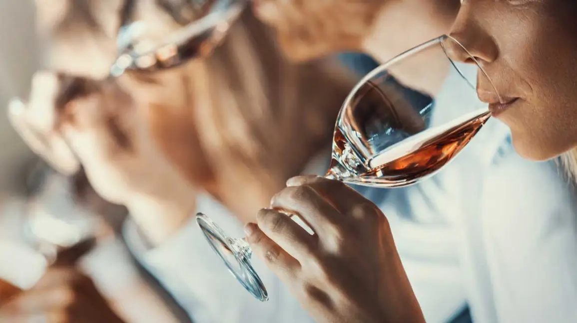 Benefits of Wine for Body and Brain Health
